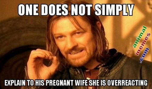 pregnancy meme 2